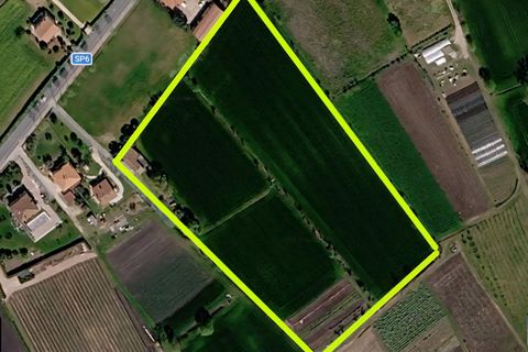 Landejendom i Baone, Padua, Baone - € 269.000 | Ref: RUST 242 - foto 3