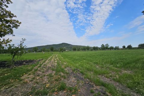 Landejendom i Baone, Padua, Baone - € 269.000 | Ref: RUST 242 - foto 9