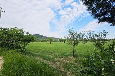 Landejendom i Baone, Padua, Baone - € 269.000 | Ref: RUST 242 - foto 14