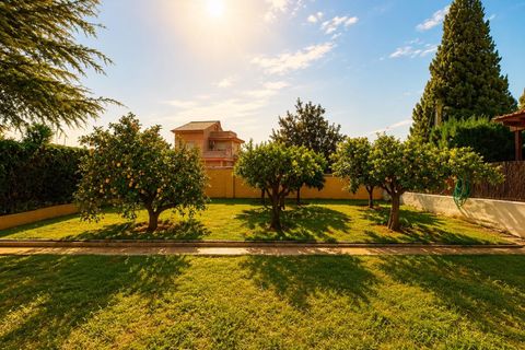 Villa a Montserrat, Valencia, Montserrat - € 550.000 | Ref: RP126/8469 - foto 19