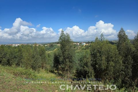 Villa i Asseiceira, Santarem, Asseiceira - € 330.000 | Ref: 524/26 - foto 6