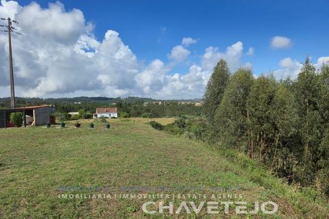 Villa i Asseiceira, Santarem, Asseiceira - € 330.000 | Ref: 524/26 - foto 7