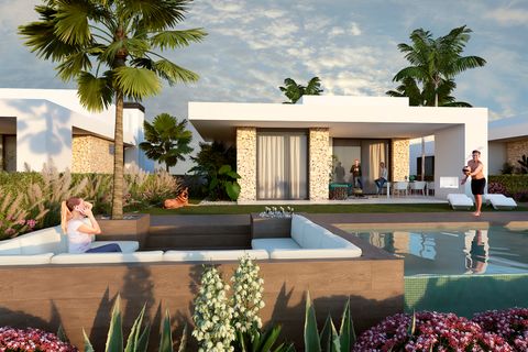 Villa a Algorfa, Alicante, Algorfa - € 1.800.000 | Ref: NBCB-62415 - foto 7