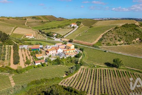 Byhus i Torres Vedras, Lisbon, Torres Vedras - € 300.000 | Ref: 781010 - foto 29