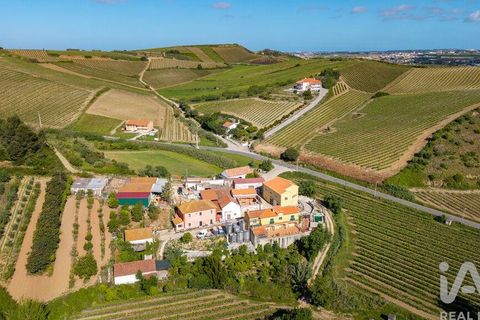 Byhus i Torres Vedras, Lisbon, Torres Vedras - € 300.000 | Ref: 781010 - foto 32