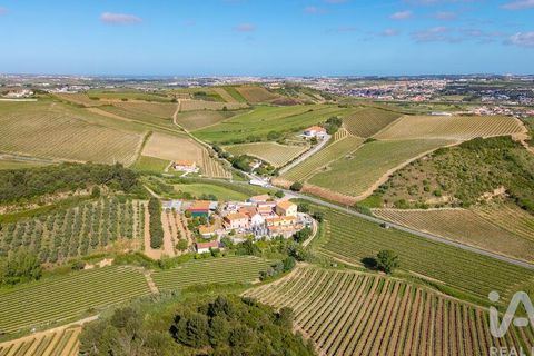Byhus i Torres Vedras, Lisbon, Torres Vedras - € 300.000 | Ref: 781010 - foto 33