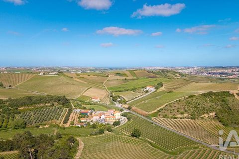 Byhus i Torres Vedras, Lisbon, Torres Vedras - € 300.000 | Ref: 781010 - foto 35