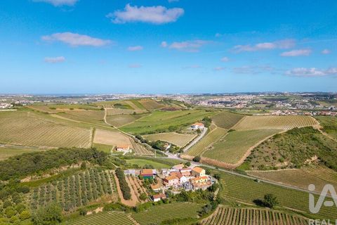 Byhus i Torres Vedras, Lisbon, Torres Vedras - € 300.000 | Ref: 781010 - foto 36