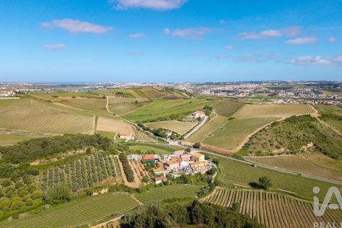 Byhus i Torres Vedras, Lisbon, Torres Vedras - € 300.000 | Ref: 781010 - foto 37