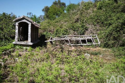 Byhus i Valenca, Viana do Castelo, Valenca - € 215.000 | Ref: 866735 - foto 20