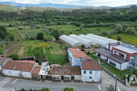 Rækkehus i Miranda do Corvo, Coimbra, Miranda do Corvo - € 48.000 | Ref: 916777 - foto 20