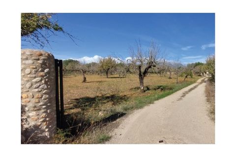 Helårsgrund i Buger, Mallorca, Buger - € 350.000 | Ref: 5994 - foto 6