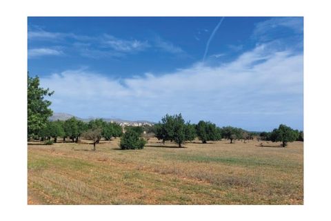 Helårsgrund i Buger, Mallorca, Buger - € 350.000 | Ref: 5994 - foto 7