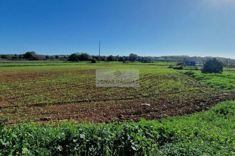 Farm hus i Lagos, Faro, Lagos - € 395.000 | Ref: M0318 - foto 3