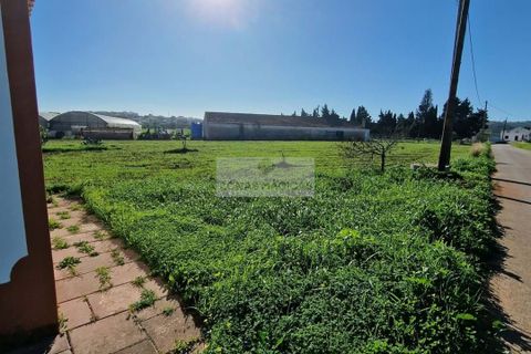 Farm hus i Lagos, Faro, Lagos - € 395.000 | Ref: M0318 - foto 5