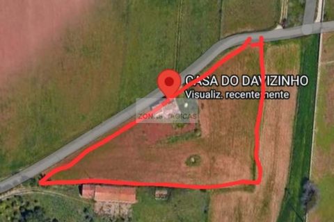 Farm hus i Lagos, Faro, Lagos - € 395.000 | Ref: M0318 - foto 18