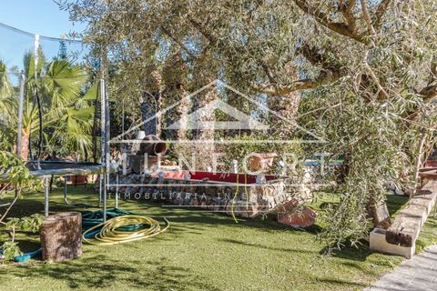 Villa a Orihuela, Alicante, Orihuela - € 1.750.000 | Ref: DH286-D - foto 13
