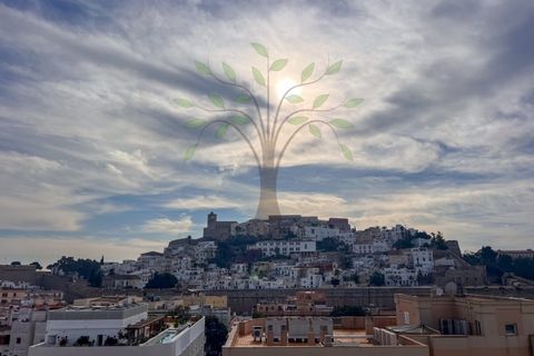 Dupleks i Ibiza, Ibiza, Ibiza - € 1 630 000 | Ref: DÚP_1120 - foto 27