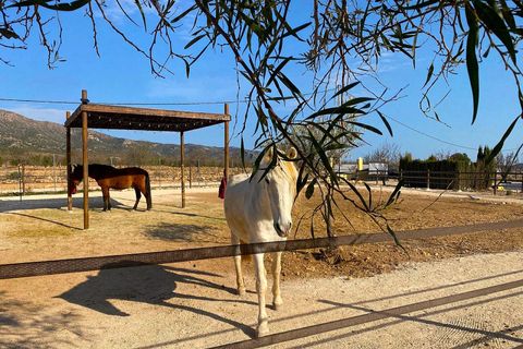 Villa a Lel, Alicante, Lel - € 390.000 | Ref: ELS9080 - foto 3