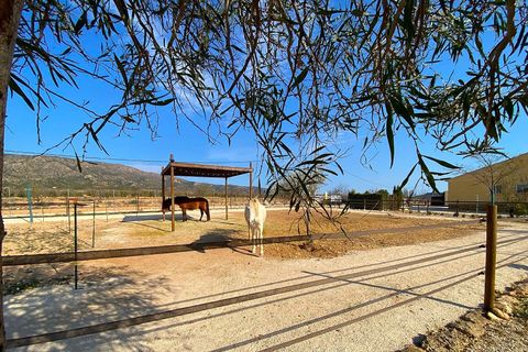 Villa a Lel, Alicante, Lel - € 390.000 | Ref: ELS9080 - foto 4