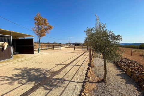 Villa a Lel, Alicante, Lel - € 390.000 | Ref: ELS9080 - foto 8