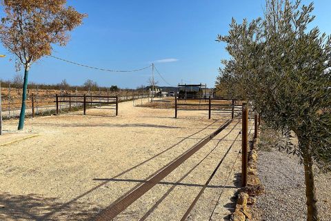 Villa a Lel, Alicante, Lel - € 390.000 | Ref: ELS9080 - foto 9