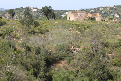 Farm hus i Albufeira, Faro, Albufeira - € 260.000 | Ref: 123561123-53 - foto 7