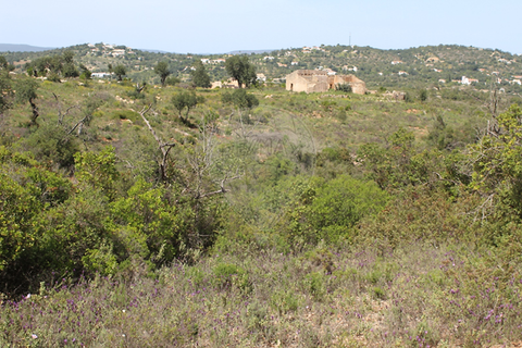 Farm hus i Albufeira, Faro, Albufeira - € 260.000 | Ref: 123561123-53 - foto 8