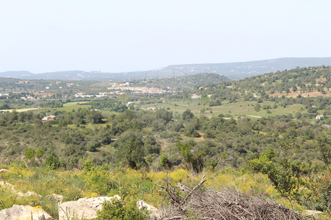 Farm hus i Albufeira, Faro, Albufeira - € 260.000 | Ref: 123561123-53 - foto 13