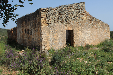 Farm hus i Albufeira, Faro, Albufeira - € 260.000 | Ref: 123561123-53 - foto 15