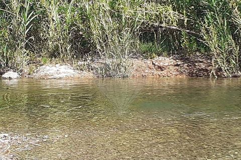 Farm hus i Albufeira, Faro, Albufeira - € 260.000 | Ref: 123561123-53 - foto 2