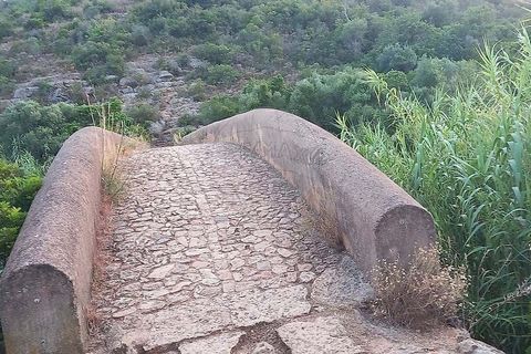 Farm hus i Albufeira, Faro, Albufeira - € 260.000 | Ref: 123561123-53 - foto 5