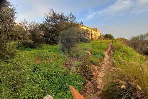Villa a Almancil, Faro, Almancil - € 150.000 | Ref: 123561183-6 - foto 5