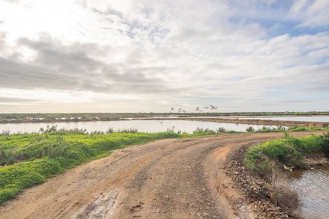 Villa i Olhao, Faro, Olhao - € 1.100.000 | Ref: 123561153-4 - foto 14