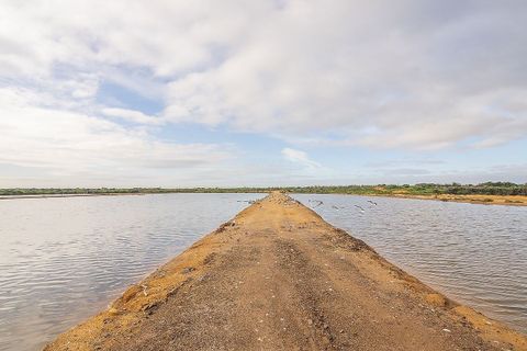 Villa i Olhao, Faro, Olhao - € 1.100.000 | Ref: 123561153-4 - foto 15