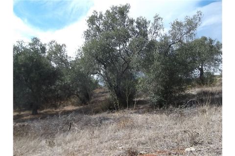 Villa i Tavira, Faro, Tavira - € 190.000 | Ref: 123561032-52 - foto 10