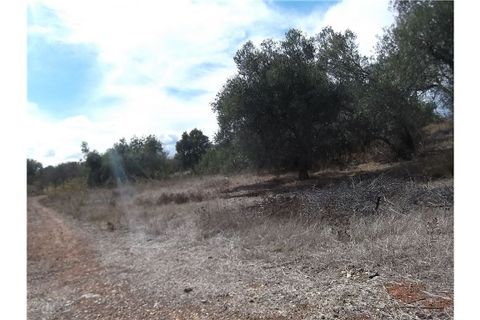 Villa i Tavira, Faro, Tavira - € 190.000 | Ref: 123561032-52 - foto 11
