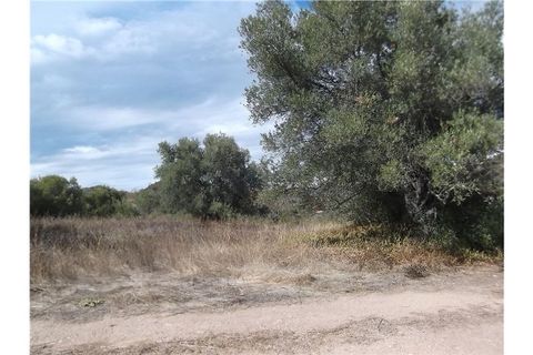 Villa i Tavira, Faro, Tavira - € 190.000 | Ref: 123561032-52 - foto 15