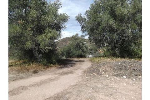 Villa i Tavira, Faro, Tavira - € 190.000 | Ref: 123561032-52 - foto 16