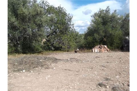 Villa i Tavira, Faro, Tavira - € 190.000 | Ref: 123561032-52 - foto 17