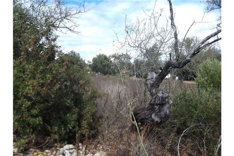 Villa i Tavira, Faro, Tavira - € 190.000 | Ref: 123561032-52 - foto 18