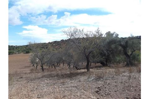 Villa i Tavira, Faro, Tavira - € 190.000 | Ref: 123561032-52 - foto 19