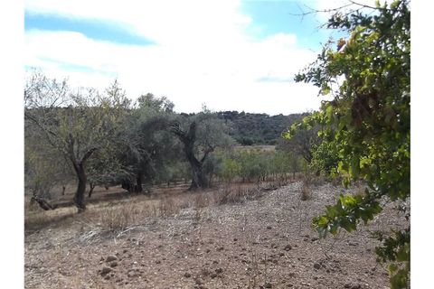 Villa i Tavira, Faro, Tavira - € 190.000 | Ref: 123561032-52 - foto 20