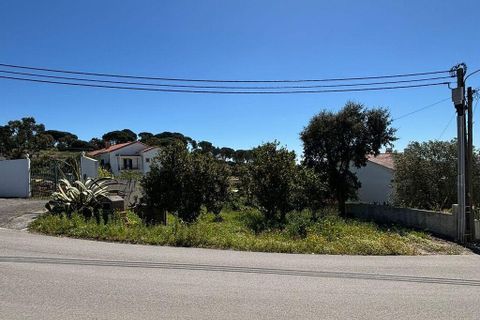 Terra a Azambuja, Lisbon, Azambuja - € 69.500 | Ref: 918018 - foto 9