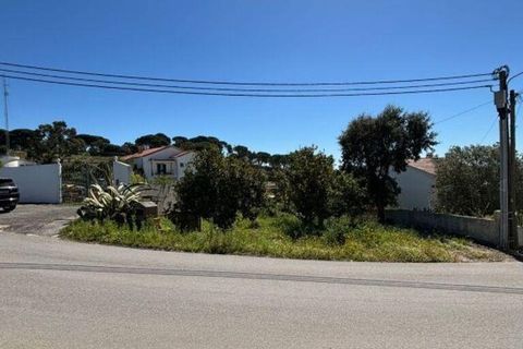 Terra a Azambuja, Lisbon, Azambuja - € 69.500 | Ref: 918018 - foto 10