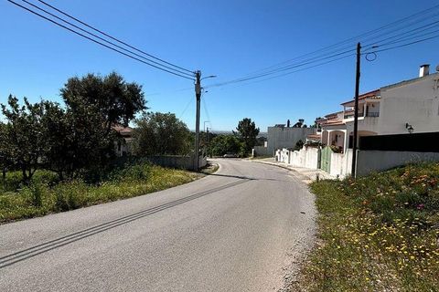 Terra a Azambuja, Lisbon, Azambuja - € 69.500 | Ref: 918018 - foto 11