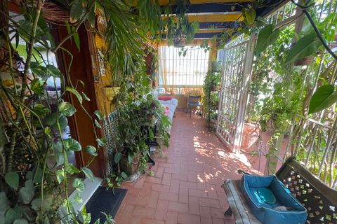 Byhus i Rojales, Alicante, Rojales - € 370.000 | Ref: MLS74811D - foto 34