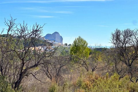 Helårsgrund i Benissa, Alicante, Benissa - € 225.000 | Ref: P43019* - foto 3