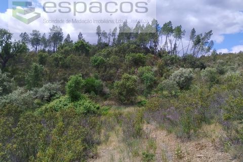 Terra a Perais, Castelo Branco, Perais - € 54.000 | Ref: 5540/EM_RR - foto 3