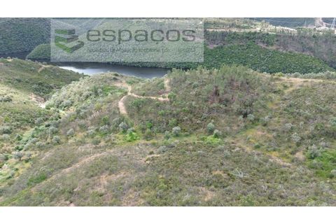 Terra a Perais, Castelo Branco, Perais - € 54.000 | Ref: 5540/EM_RR - foto 4